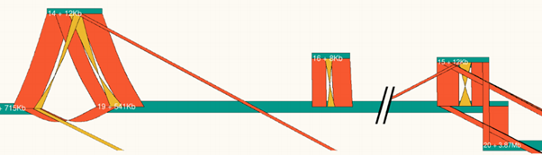 Contiguity