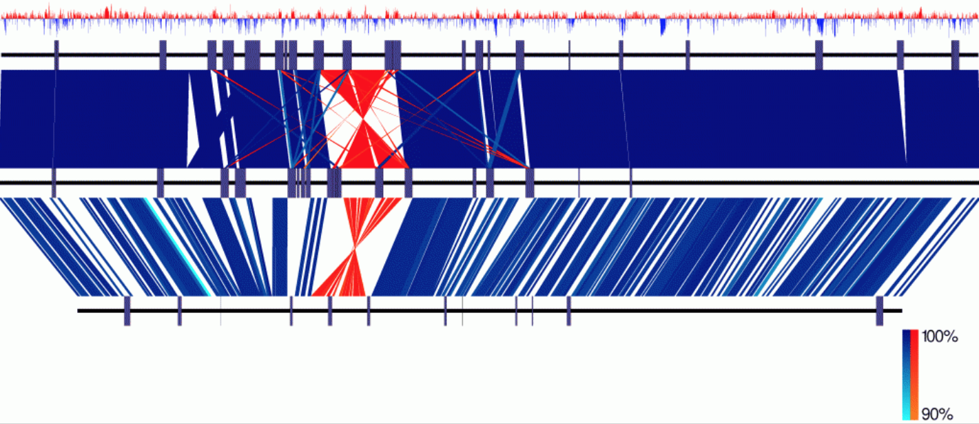 EasyFig_example